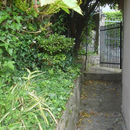 Sunflower Cosy Cottage - Il Girasole Monterosso al Mare Exterior foto