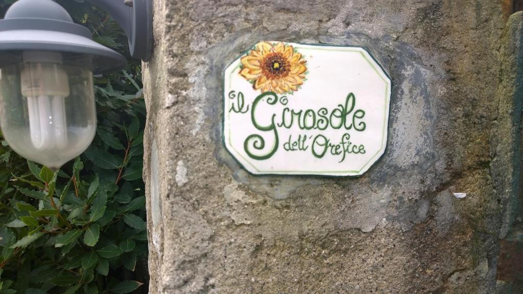 Sunflower Cosy Cottage - Il Girasole Monterosso al Mare Exterior foto