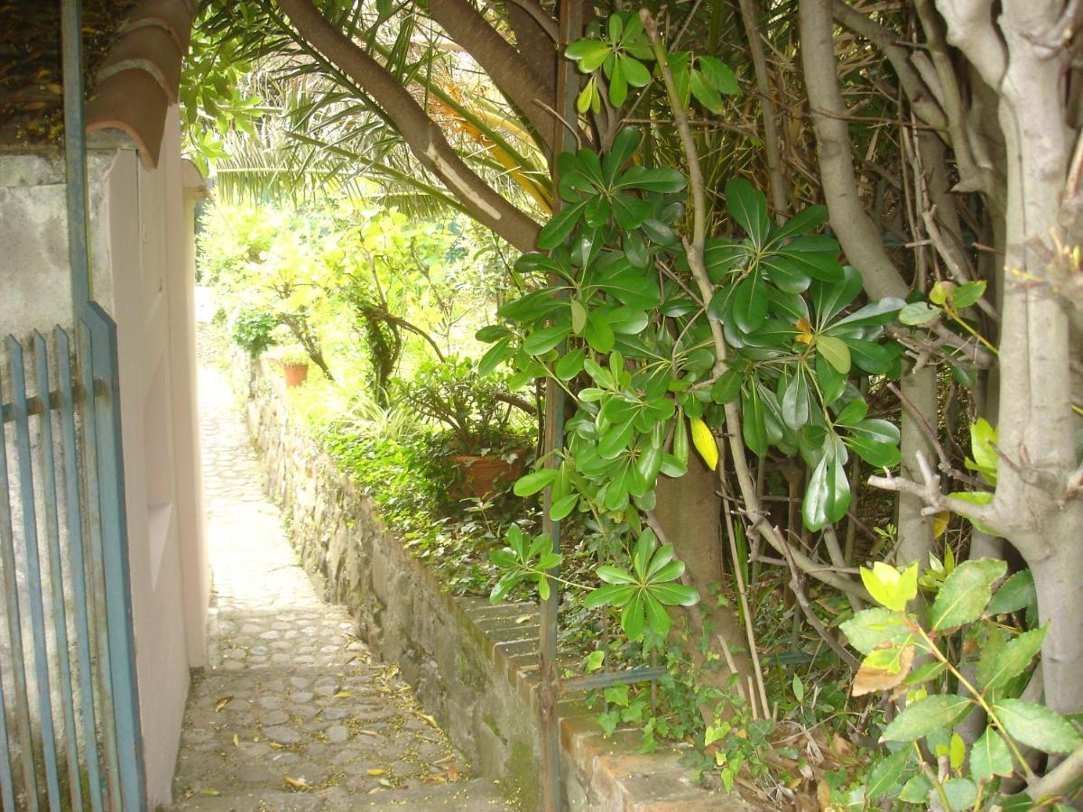 Sunflower Cosy Cottage - Il Girasole Monterosso al Mare Exterior foto